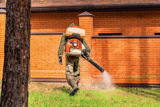 Trusted Termite Control service in Hollandale, MS - Nex Pest Control